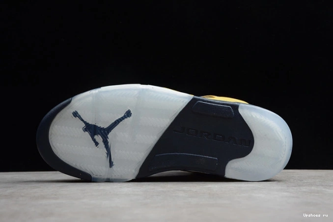 CQ9541-704 Air 5 'Michigan' Jordan 0107